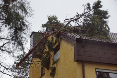 Stuttgart: Sturmschaeden in ganz Stuttgart